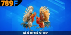 Đá Gà Phi - Hình Thức Giải Trí Hấp Dẫn Hàng Đầu Tại 789F