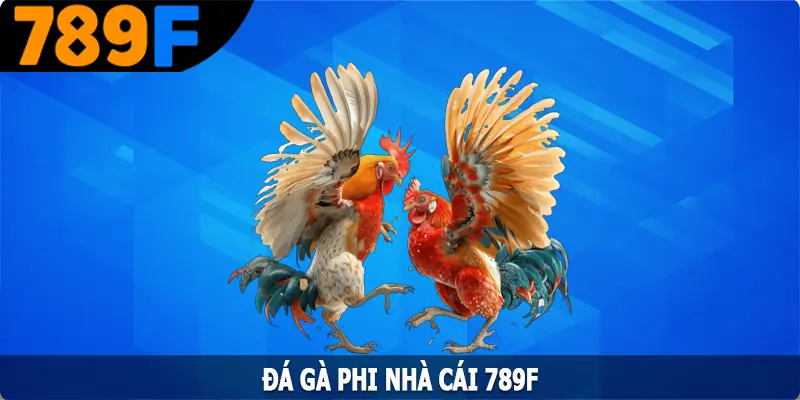 Đá Gà Phi – Hình Thức Giải Trí Hấp Dẫn Hàng Đầu Tại 789F