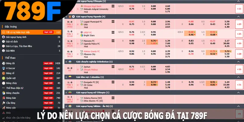 Lý do nên lựa chọn cá cược bóng đá tại 789F